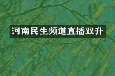 河南民生频道直播双升