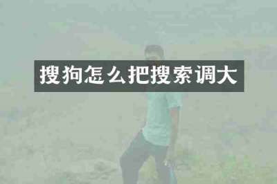 搜狗怎么把搜索调大