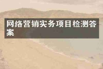 网络营销实务项目检测答案