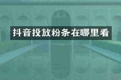 抖音投放粉条在哪里看