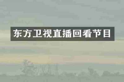 东方卫视直播回看节目
