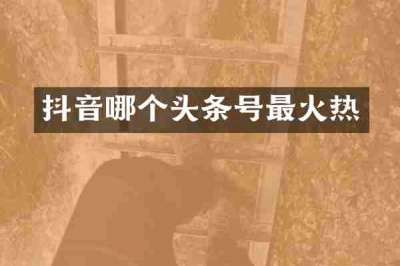 抖音哪个头条号最火热