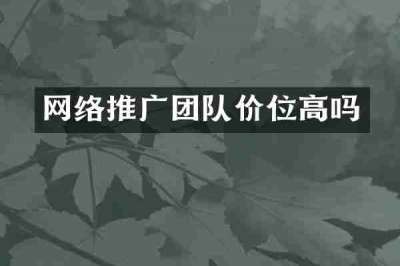 网络推广团队价位高吗