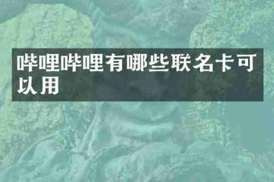 哔哩哔哩有哪些联名卡可以用