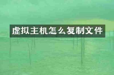 虚拟主机怎么复制文件