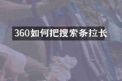 360如何把搜索条拉长