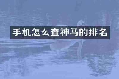 手机怎么查神马的排名