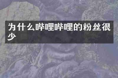 为什么哔哩哔哩的粉丝很少