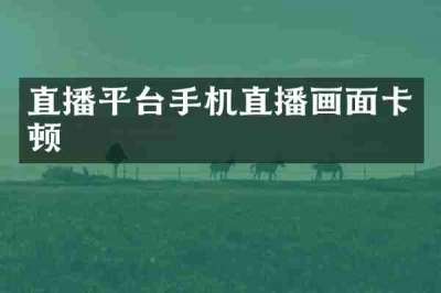 直播平台手机直播画面卡顿