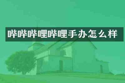 哔哔哔哩哔哩手办怎么样
