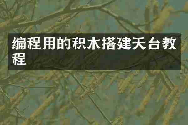 编程用的积木搭建天台教程