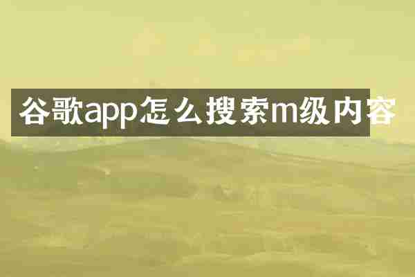 谷歌app怎么搜索m级内容