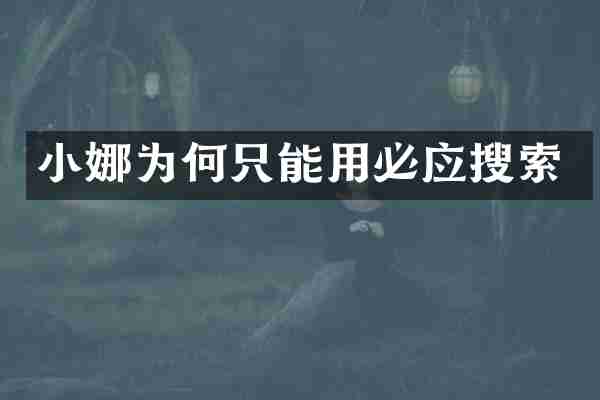 小娜为何只能用必应搜索