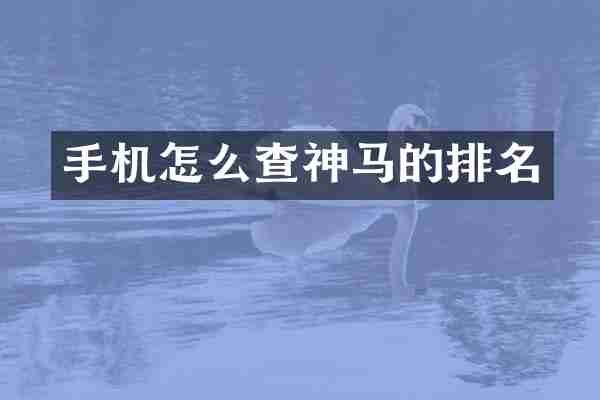 手机怎么查神马的排名