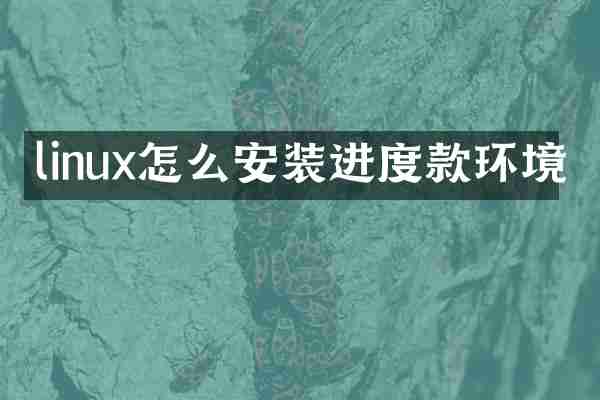 linux怎么安装进度款环境