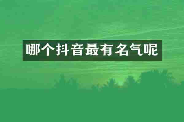 哪个抖音最有名气呢