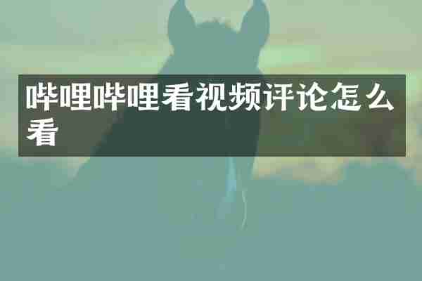 哔哩哔哩看视频评论怎么看