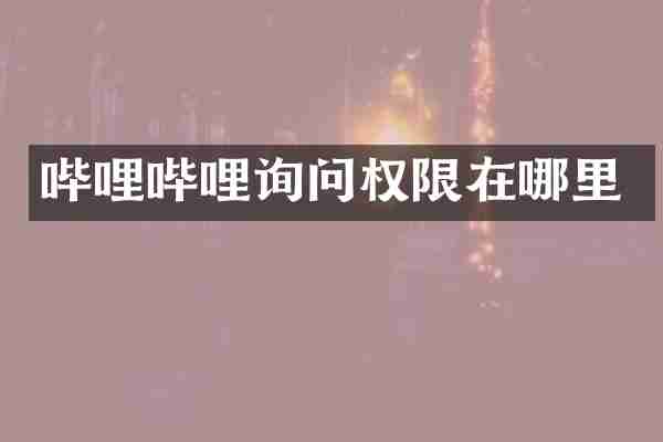 哔哩哔哩询问权限在哪里