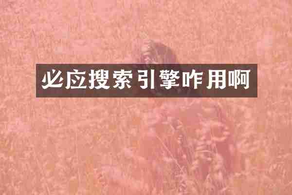 必应搜索引擎咋用啊