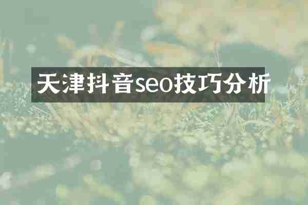 天津抖音seo技巧分析