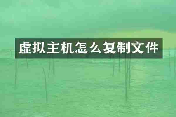 虚拟主机怎么复制文件