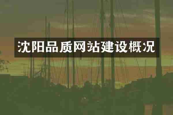 沈阳品质网站建设概况