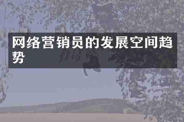 网络营销员的发展空间趋势
