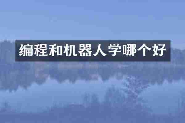 编程和机器人学哪个好