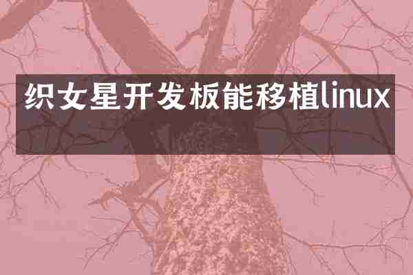 织女星开发板能移植linux吗