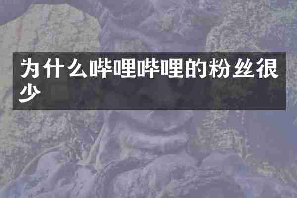 为什么哔哩哔哩的粉丝很少