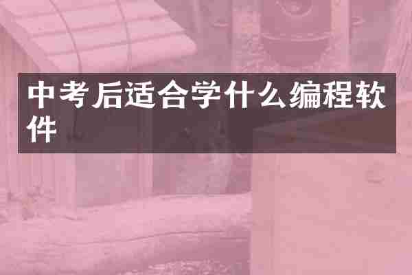 中考后适合学什么编程软件