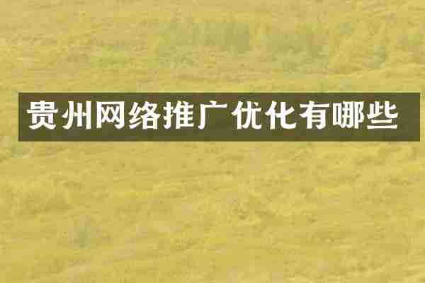 贵州网络推广优化有哪些