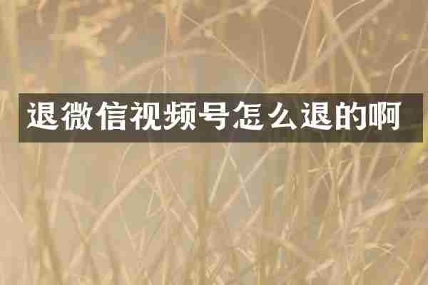 退微信视频号怎么退的啊