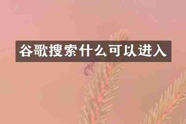 谷歌搜索什么可以进入
