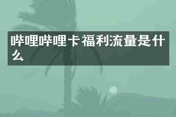 哔哩哔哩卡福利流量是什么