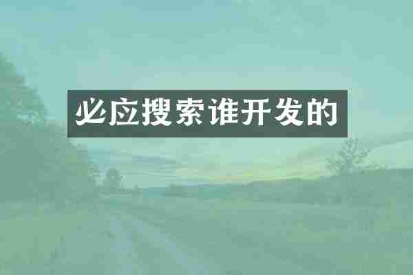 必应搜索谁开发的