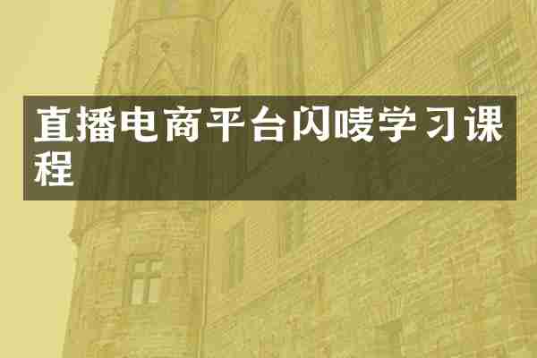 直播电商平台闪唛学习课程