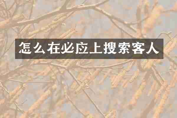 怎么在必应上搜索客人