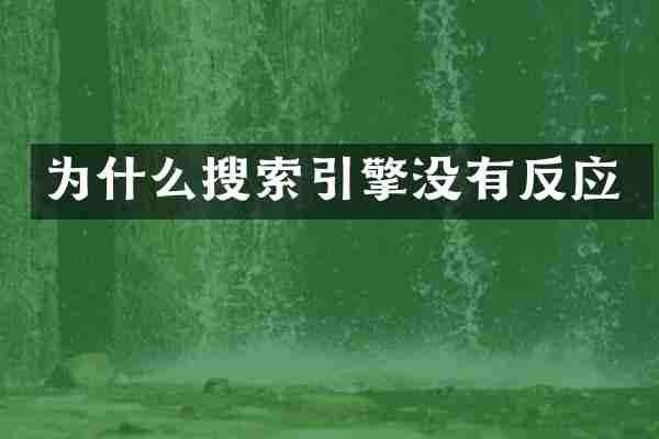 为什么搜索引擎没有反应