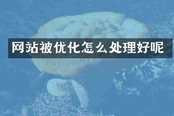 网站被优化怎么处理好呢