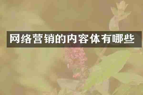 网络营销的内容体有哪些