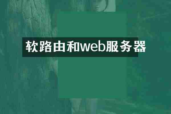 软路由和web服务器
