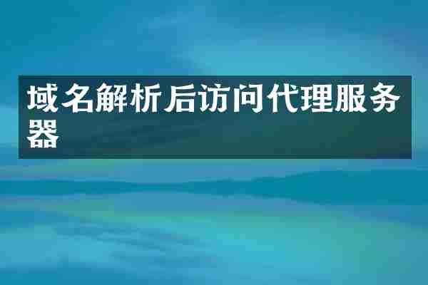 域名解析后访问代理服务器