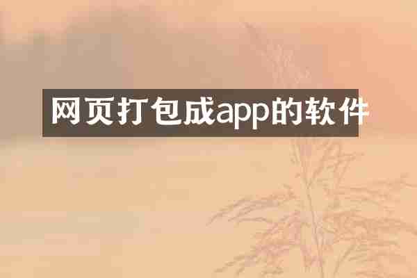 网页打包成app的软件