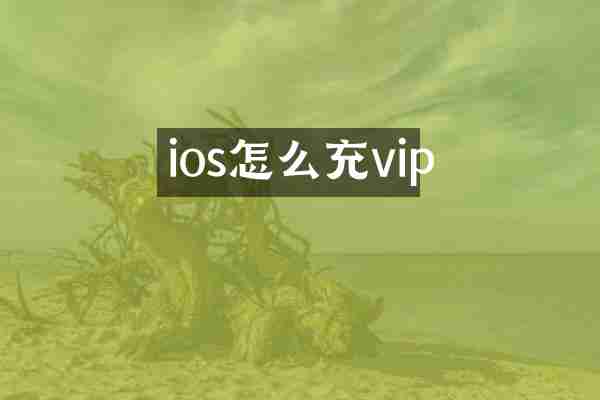 ios怎么充vip
