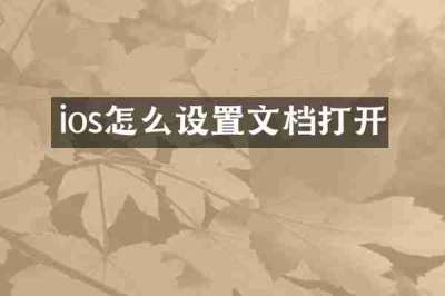 ios怎么设置文档打开