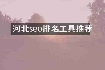 河北seo排名工具推荐