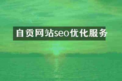 自贡网站seo优化服务