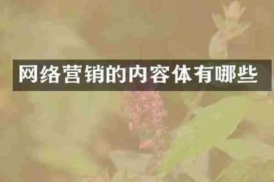 网络营销的内容体有哪些
