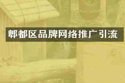 郫都区品牌网络推广引流